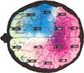 Beyin Haritalaması - Kantitatif EEG/ QEEG 22
