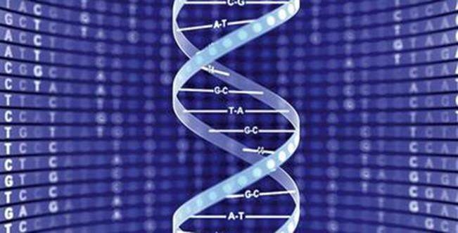 Genetik Danışmanlık ve Psikiyatrik Genetik Danışmanlık