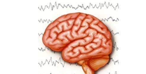 Epilepsinin oluşum mekanizması çözüldü