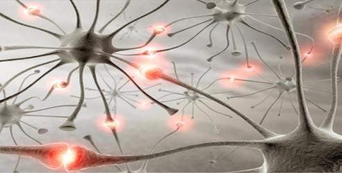 Epilepsinin etkileri kadın ve erkeklerde farklı