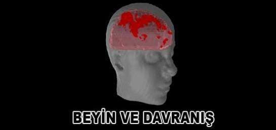 Beyin ve Davranış