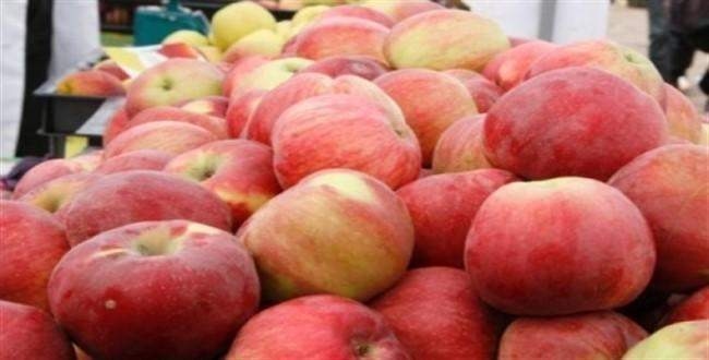 Kazak elmaları neden ilgi görüyor?