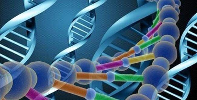 Bağımlılık gende gizli