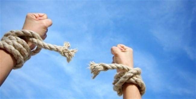 Başımızın en büyük belası: Bonzai