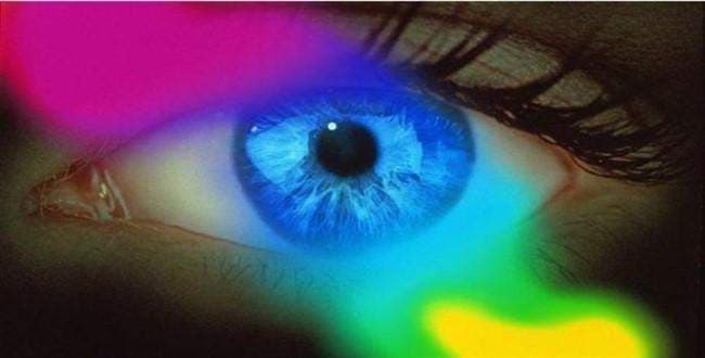 Beyin ve öğrenme arasında nasıl bir ilişki var?