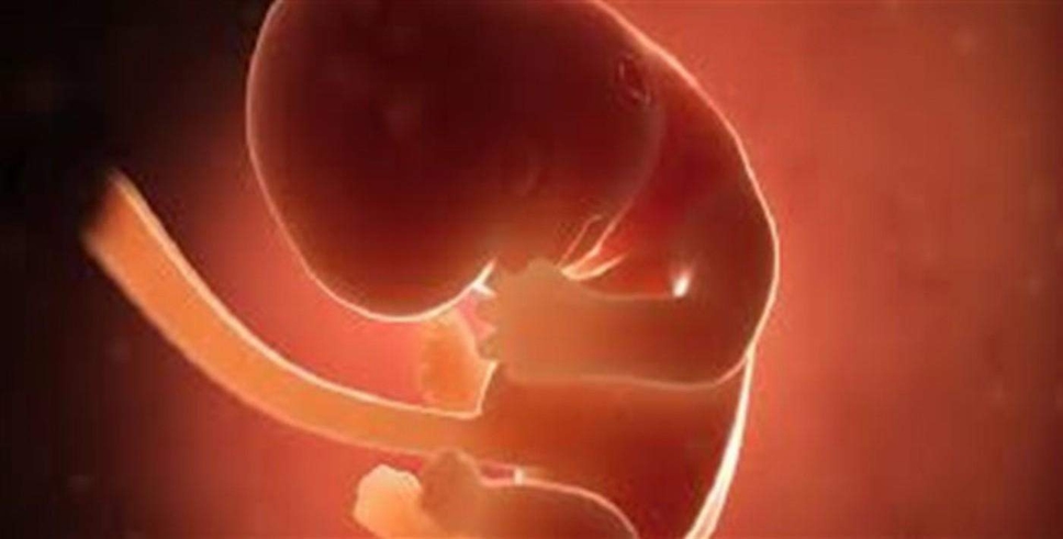 Bebek plasentasında mikroplastik parçacık bulundu