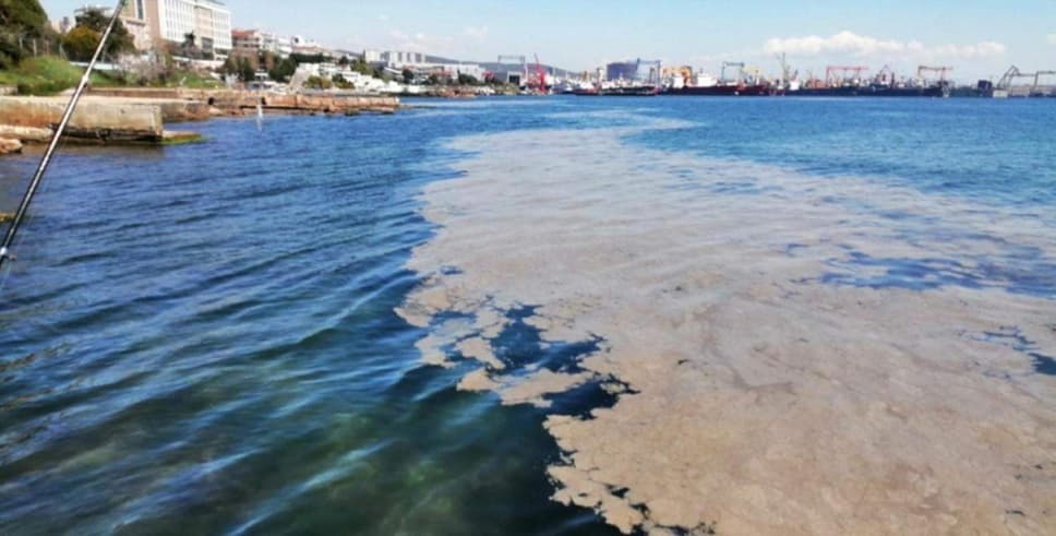 Müsilajın nedeni stres çıktı