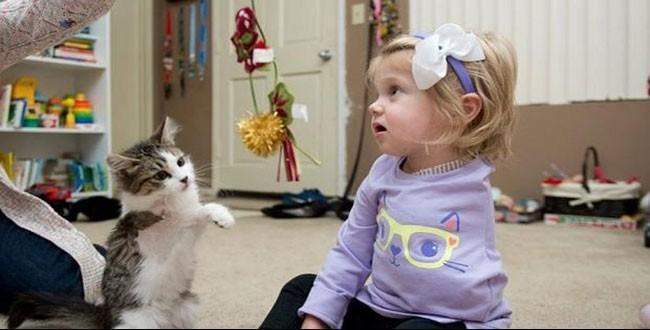 Küçük kız ve kedinin inanılmaz dostluğu