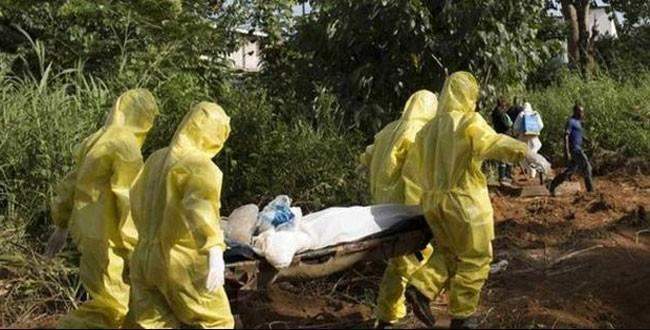 Ebola'dan sonra Lassa sıtması