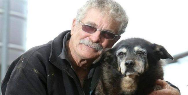 Dünyanın en yaşlı köpeği öldü