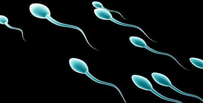 Erkeklerde kalitesiz sperm 'kalıtsal'