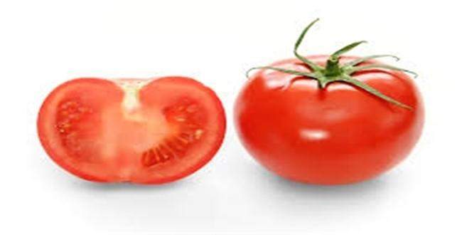 Neden idrarda domates üretiliyor?