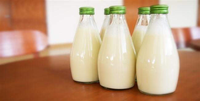 Uzun ömürlü süt aylarca nasıl bozulmuyor?