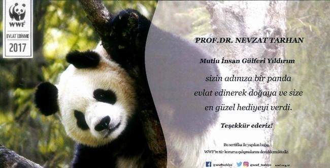 Prof. Dr. Nevzat Tarhan’a evlat panda
