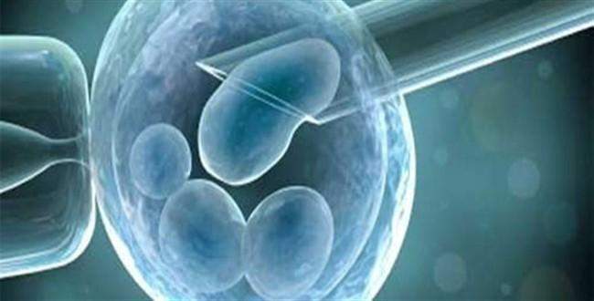 Tüp bebekler için kendi spermini kullanmakla suçlanan doktora DNA testi