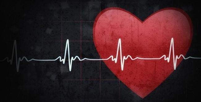 İnsan kalp atışlarının kaynağı 3d olarak çözümlendi