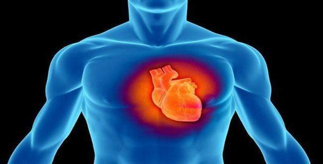 Kalp hastalığına 'genetik tamir' tedavisi