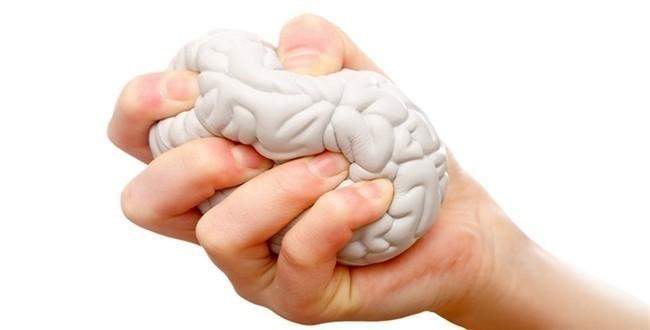 Beyin ve Davranış Farklılıkları 