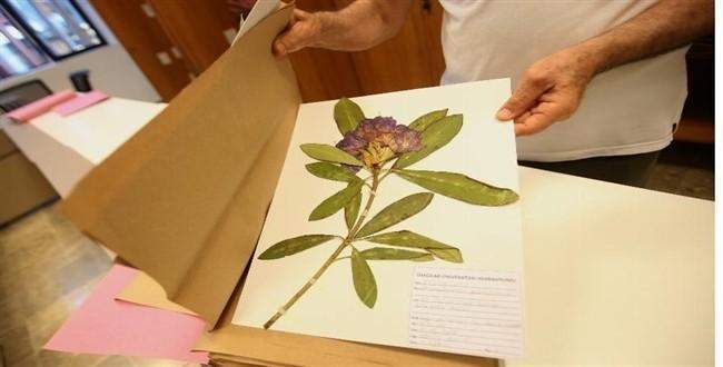 Üsküdar Üniversitesi Herbaryumu açıldı