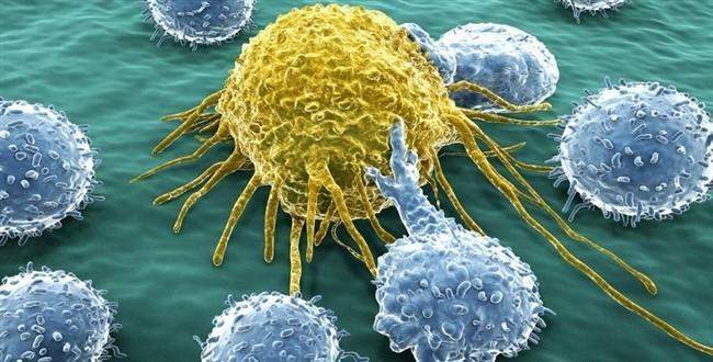 Bu ilaç kanserli hücreleri ‘yiyecek’