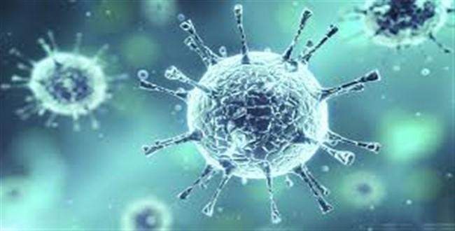 HPV virüsü hakkında efsaneler ve gerçekler
