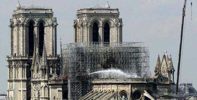 Notre-Dame yangınından sağ çıkan arılar 