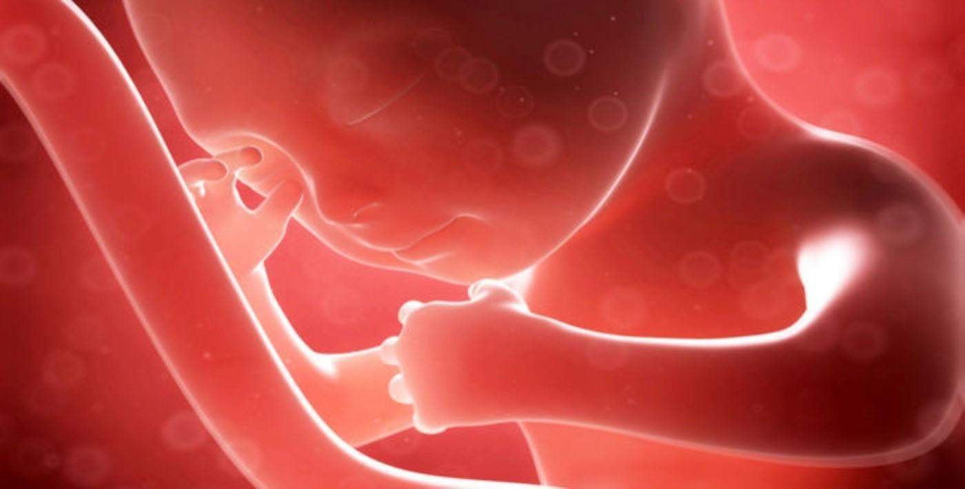 Embriyoların genlerini değiştirene 3 yıl