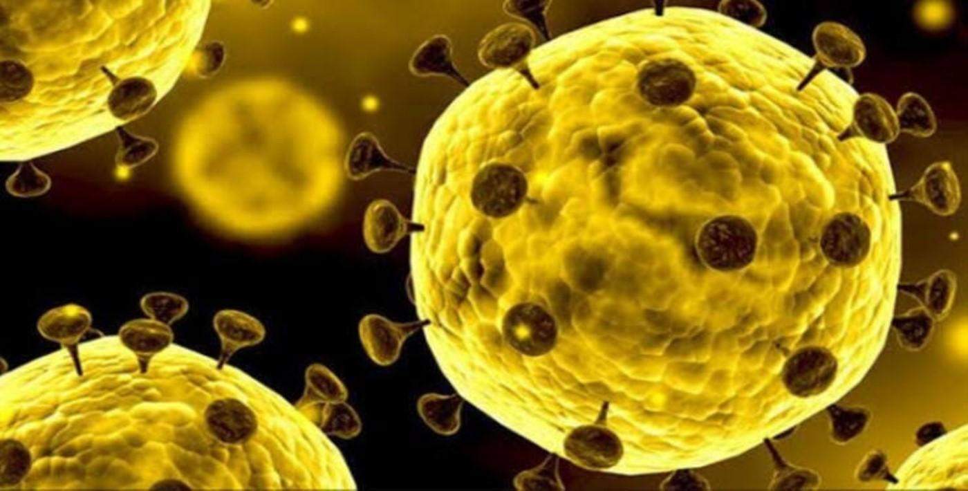 Koronavirüs (Corona virüs)  hakkında 5 önemli bilgi