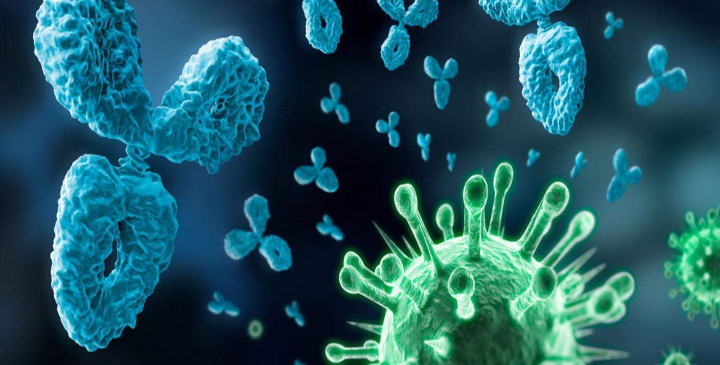 Koronavirüse Karşı Bağışıklık Ne Kadar Sürecek?