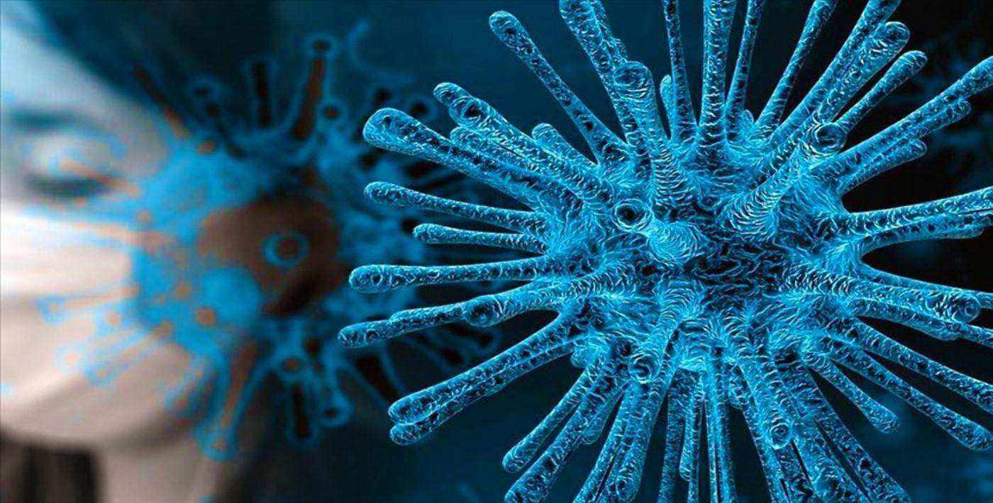 B.1.1.7 İngiliz koronavirüs mutasyonu