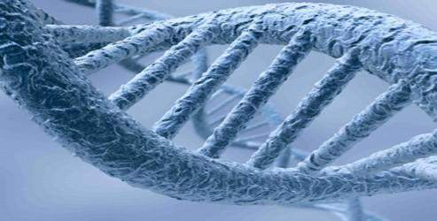 DNA delilleri barkodlanacak