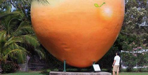 10 metrelik mango heykeli çaldılar