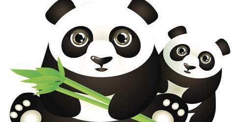 'Küçük panda' ve 'şişko' diyen yandı