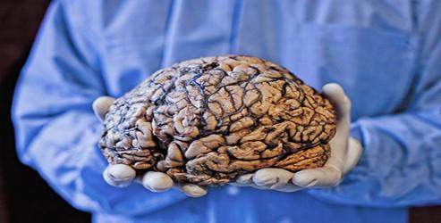 Beyin felci hastalarına müjde